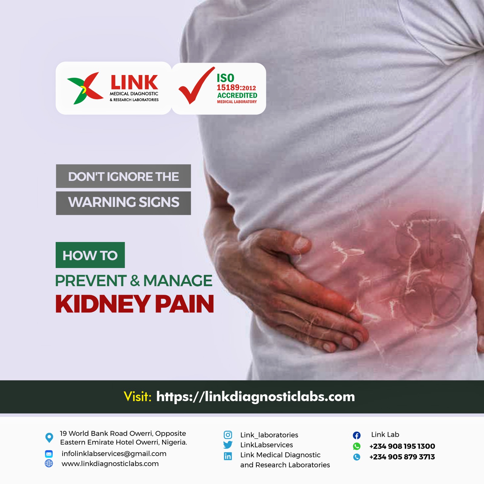 Don't Ignore the Warning Signs How to Prevent and Manage Kidney Pain